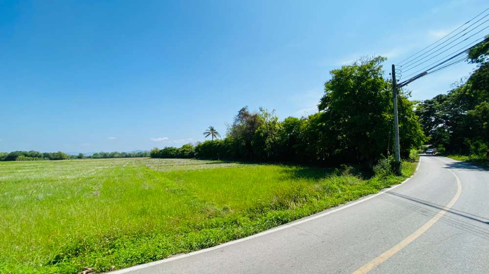 ที่นาราคาถูก บ้านป่าเก็ด ดอยสะเก็ด