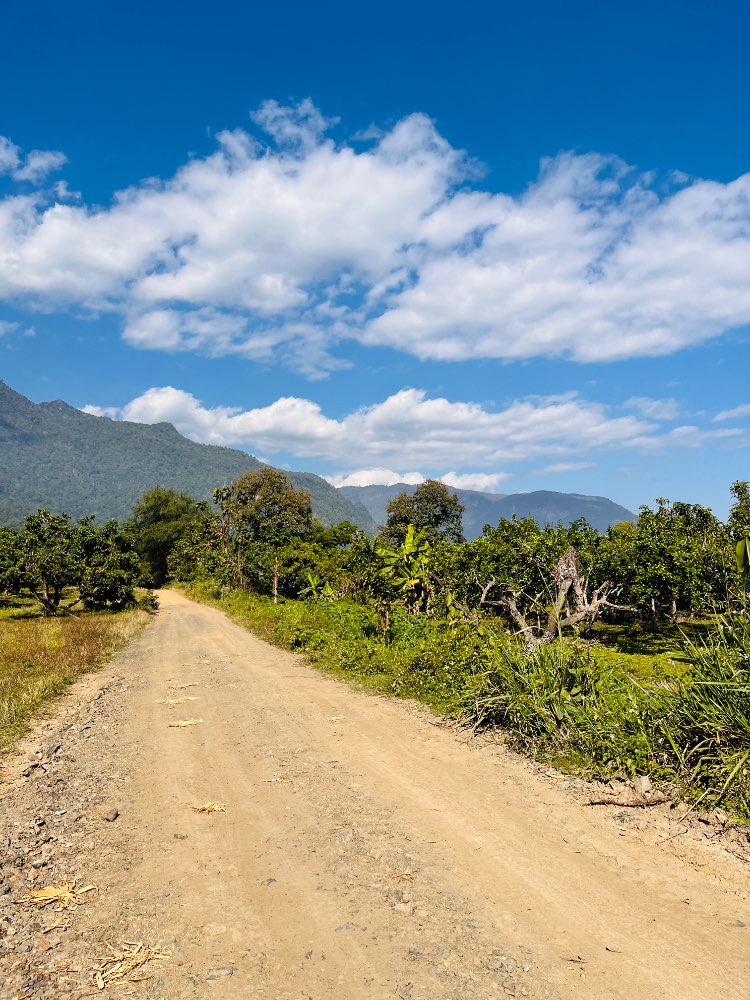 ขายที่ดินวิวสวยดอยหลวงเชียงดาวแปลงใหญ่เนื้อที่รวม 20 ไร่