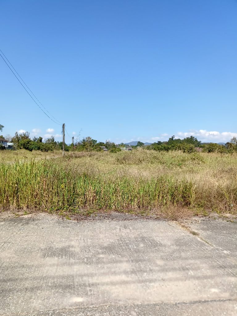 ขายที่ดินดอยสะเก็ด 4 ไร่ ราคาถูก เพียง วาละ 6500 เท่านั้น